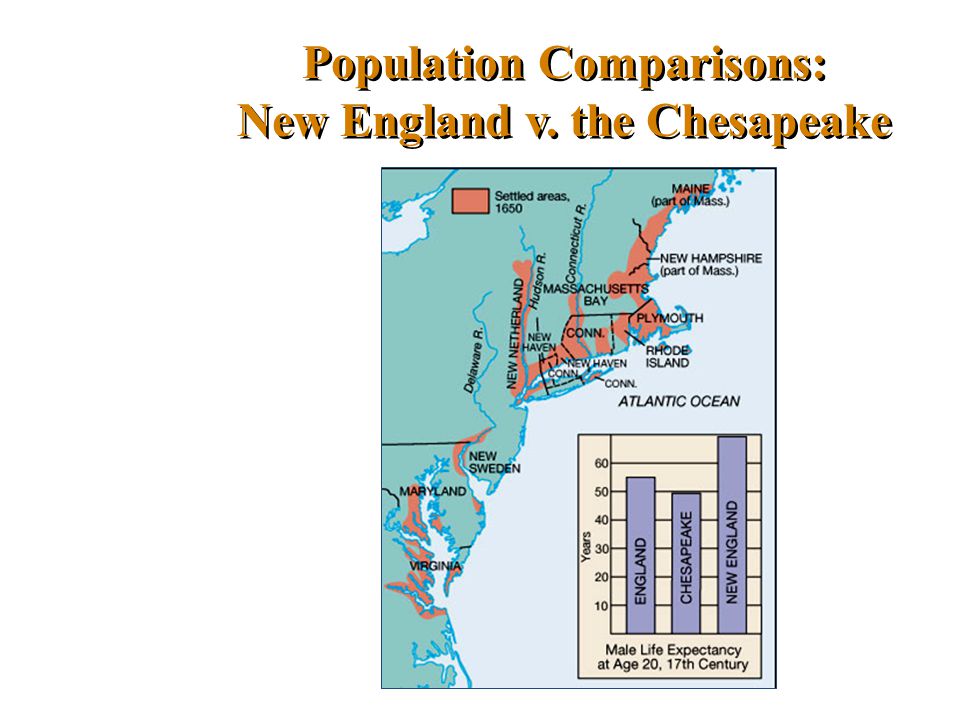 New England and Chesapeke DBQ Essay